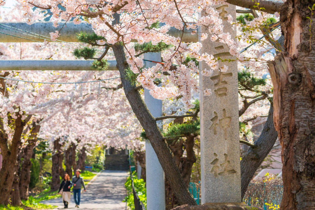 住三吉の宿　桜山路　/ SakuraSanro / 函館の一軒宿
