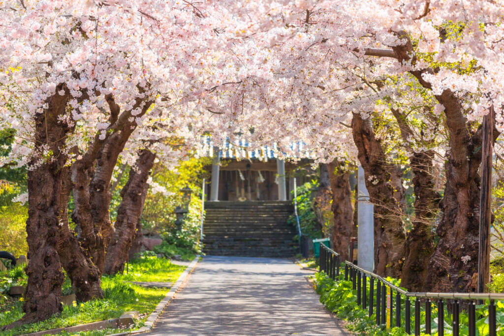 住三吉の宿　桜山路　/ SakuraSanro / 函館の一軒宿