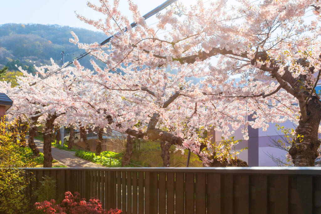 住三吉の宿　桜山路　/ SakuraSanro / 函館の一軒宿